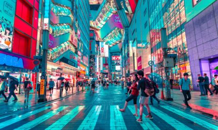 Tokyo Japan skyline - Japan work visa 2026 guide for Nigerians